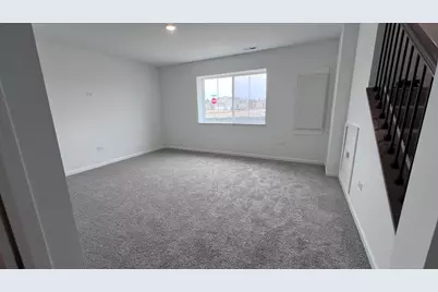 12387 Tinsley Street, Huntley, IL 60142 - Photo 19