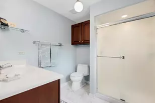 703 E Redwood Ln, Arlington Heights, IL 60004 - Photo 21