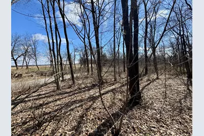 0 1725 E Street, Tiskilwa, IL 61368 - Photo 3