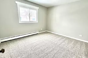 1355 Abbott Dr, Elgin, IL 60123 - Photo 9