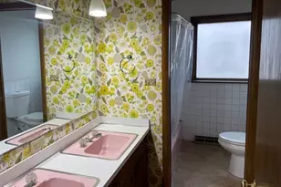 10021 W 146th St, Orland Park, IL 60462 - Photo 25