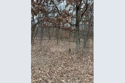 Lot 24 S Eagle Chase Drive, Seneca, IL 61360 - Photo 1