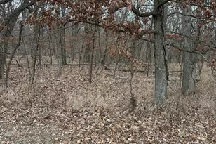 Lot 24 S Eagle Chase Dr, Seneca, IL 61360 - Photo 1