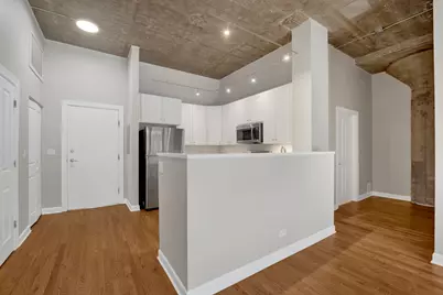 1071 W 15th Street #109, Chicago, IL 60608 - Photo 3