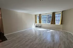 211 E Ohio St, Chicago, IL 60611 - Photo 11