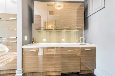 53 E Division Street, Chicago, IL 60610 - Photo 45