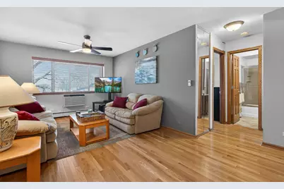 8455 W Leland Avenue #309, Chicago, IL 60656 - Photo 3