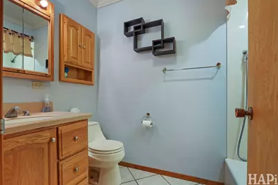 1733 Camellia Lane, Schaumburg, IL 60173 - Photo 17