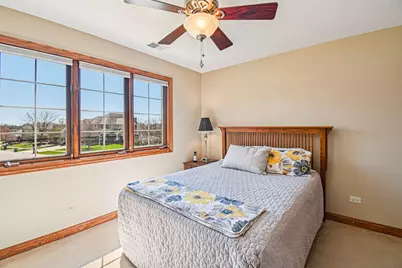 12410 Country View Lane, Homer Glen, IL 60491 - Photo 55