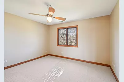 12410 Country View Lane, Homer Glen, IL 60491 - Photo 59