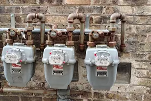 5032 S Kolin Ave, Chicago, IL 60632 - Photo 57