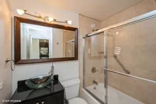 211 E Ohio St, Chicago, IL 60611 - Photo 9