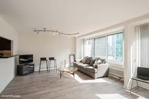 211 E Ohio St, Chicago, IL 60611 - Photo 3