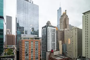211 E Ohio St, Chicago, IL 60611 - Photo 11