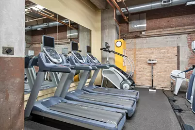 360 W Illinois Street #306, Chicago, IL 60654 - Photo 19