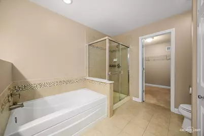 2782 Blakely Lane, Naperville, IL 60540 - Photo 19