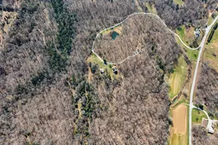 526 Shiloh Rd, Cobden, IL 62920 - Photo 51