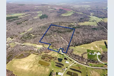 526 Shiloh Road, Cobden, IL 62920 - Photo 59