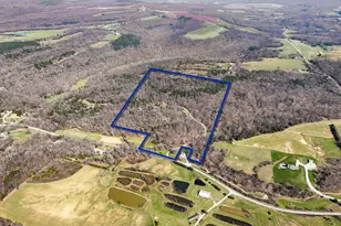 526 Shiloh Rd, Cobden, IL 62920 - Photo 59