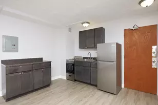 7333 N Ridge Blvd, Chicago, IL 60645 - Photo 3