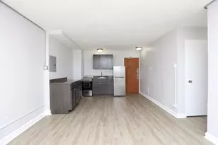 7333 N Ridge Blvd, Chicago, IL 60645 - Photo 7