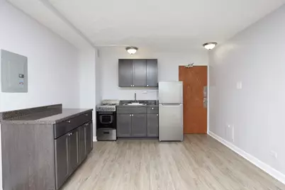 7333 N Ridge Boulevard #501, Chicago, IL 60645 - Photo 5
