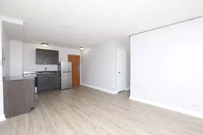 7333 N Ridge Boulevard #501, Chicago, IL 60645 - Photo 9