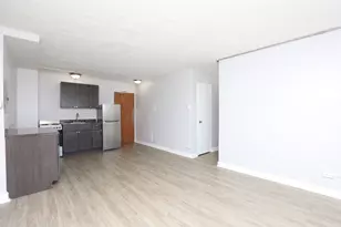 7333 N Ridge Blvd, Chicago, IL 60645 - Photo 9