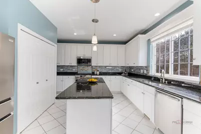 371 Sycamore Street, Vernon Hills, IL 60061 - Photo 11