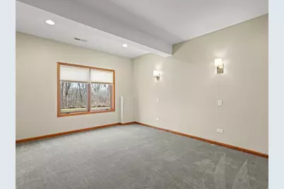 24-114 Lake Carroll Boulevard, Lake Carroll, IL 61046 - Photo 69