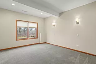 24-114 Lake Carroll Blvd, Lanark, IL 61046 - Photo 69