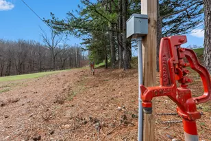 1825 Bald Knob Rd, Alto Pass, IL 62905 - Photo 41