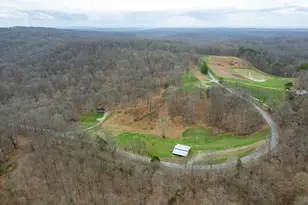 1825 Bald Knob Rd, Alto Pass, IL 62905 - Photo 37