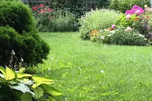 733 S Oak Park Ave, Oak Park, IL 60304 - Photo 51