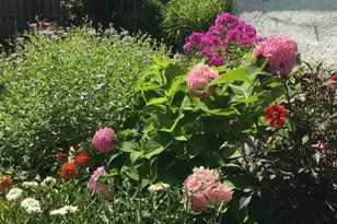 733 S Oak Park Ave, Oak Park, IL 60304 - Photo 53