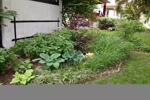 733 S Oak Park Ave, Oak Park, IL 60304 - Photo 49