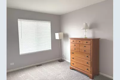 582 Spring Leaf Drive, Joliet, IL 60431 - Photo 19