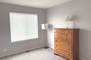 582 Spring Leaf Dr, Joliet, IL 60431 - Photo 19