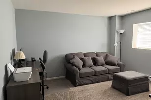 582 Spring Leaf Dr, Joliet, IL 60431 - Photo 23