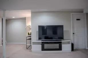 250 Tiger St, Bolingbrook, IL 60490 - Photo 31