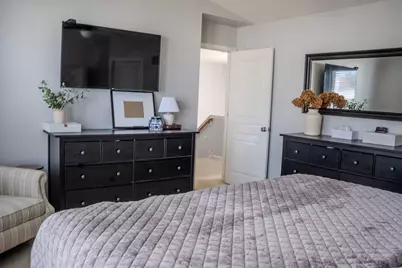 250 Tiger Street, Bolingbrook, IL 60490 - Photo 21