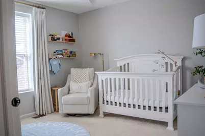 250 Tiger Street, Bolingbrook, IL 60490 - Photo 15