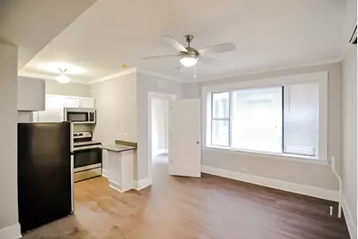 817 W Lakeside Place #705, Chicago, IL 60640 - Photo 9