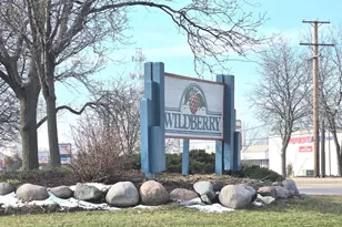 1914 Quaker Hollow Ln, Streamwood, IL 60107 - Photo 27