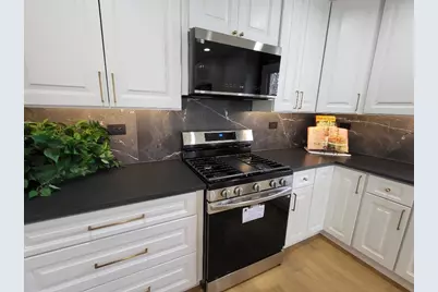 6831 Plymouth Road, Downers Grove, IL 60516 - Photo 19