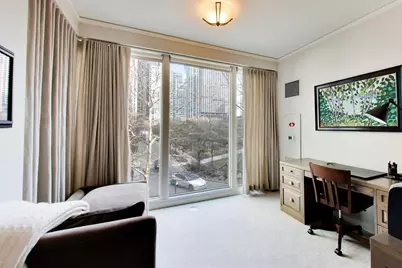 208 N Park Drive, Chicago, IL 60601 - Photo 15