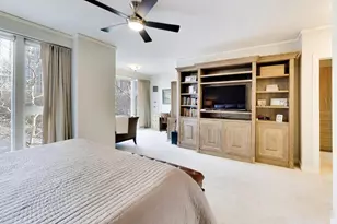 208 N Park Dr, Chicago, IL 60601 - Photo 15