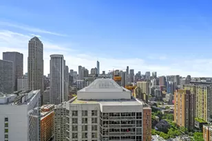 10 E Delaware Pl, Chicago, IL 60611 - Photo 41