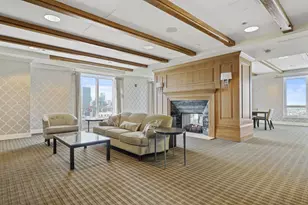 10 E Delaware Pl, Chicago, IL 60611 - Photo 49