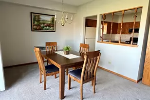 17828 Bernard Dr, Orland Park, IL 60467 - Photo 19